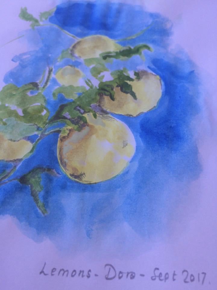 MelanieHewitt61's tweet photo. Dear @bettanyhughes - more lemons for your mother, to complement her favourite soaps. Painted on Corfu, rather than Capri - I hope they capture the spirit of your beautiful programme tonight. A dream of an episode. Grazie 🙏 #ParisToRome #Channel5 https://t.co/ULjKOAJr1s