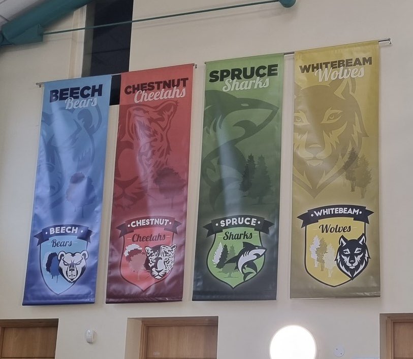 Broadoak Academy tweet media