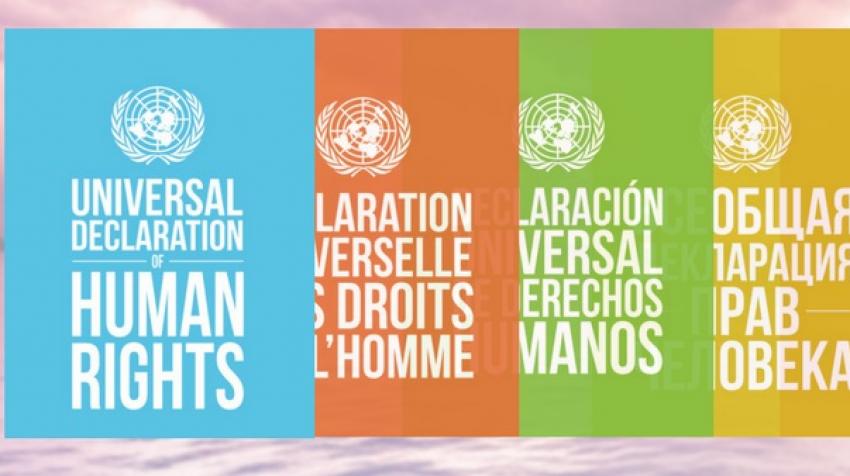 La Declaración Universal de los #DerechosHumanos #DUDH ha reafirmado la dignidad de millones de personas y puesto los cimientos de un 🌎 más justo. Conoce la #DUDH y #DefiendeLosDerechosHumanos💪 ohchr.org/es/universal-d…