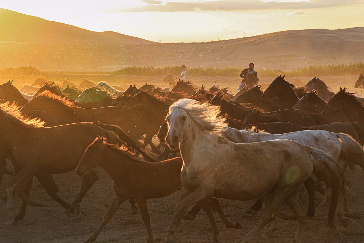 <a href="/jfx/">jf</a>