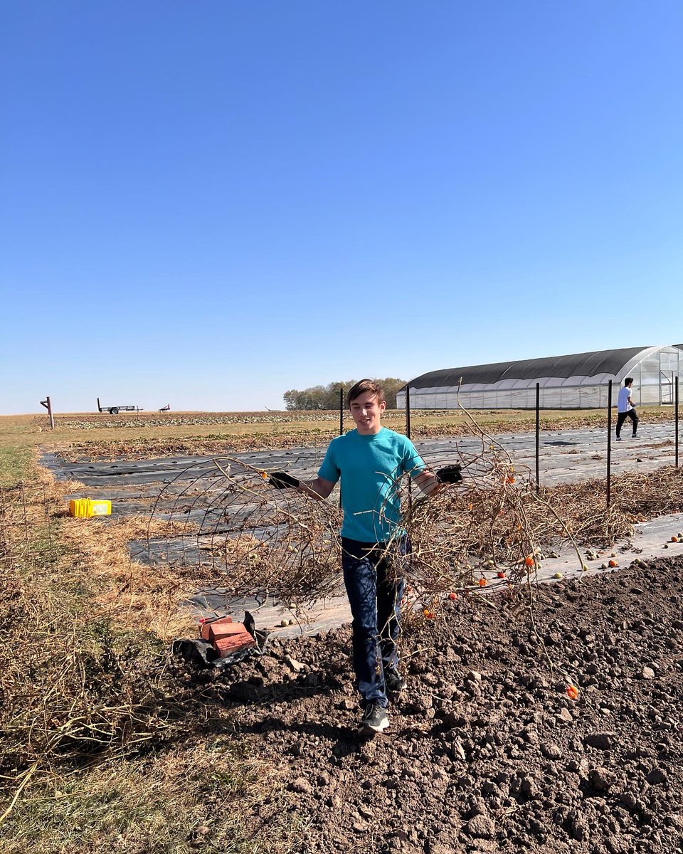 CornellRamsXCTF's tweet image. Back at Morning Glory Farms this block break!

#BlockBreak | #Volunteering