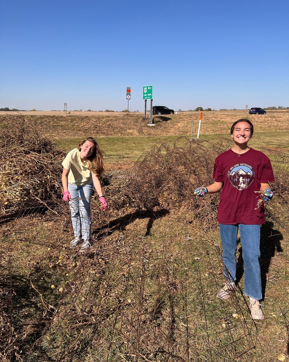 CornellRamsXCTF's tweet image. Back at Morning Glory Farms this block break!

#BlockBreak | #Volunteering
