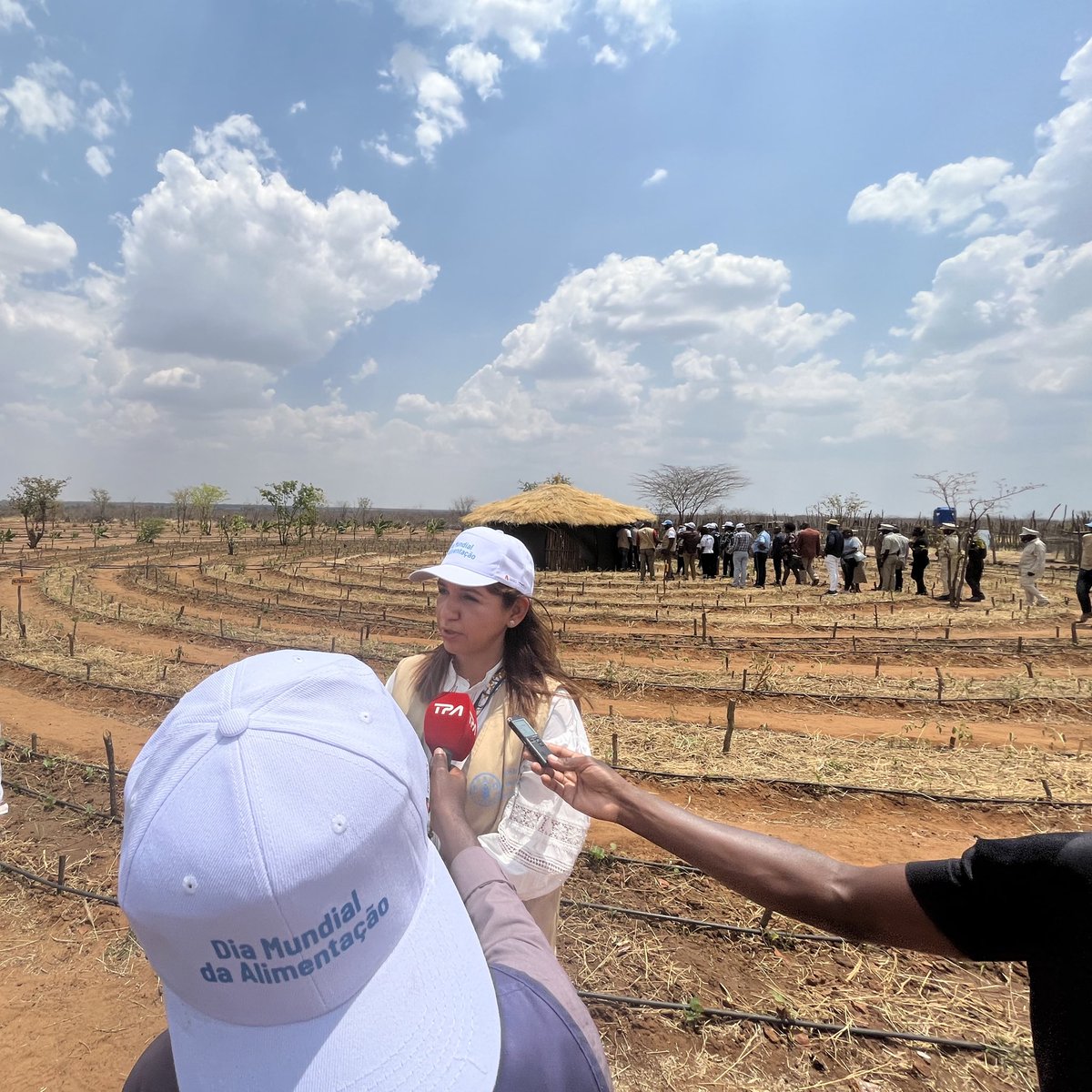 A Representante da @FAOAngola salientou o sistema agroecológico produtivo integrado Escola de Campo-Chitaka como um exemplo de que a segurança alimentar e nutricional se pode alcançar se trabalharmos mão na mão com as comunidades em Angola 🇦🇴 #DiaMundialDaAlimentação