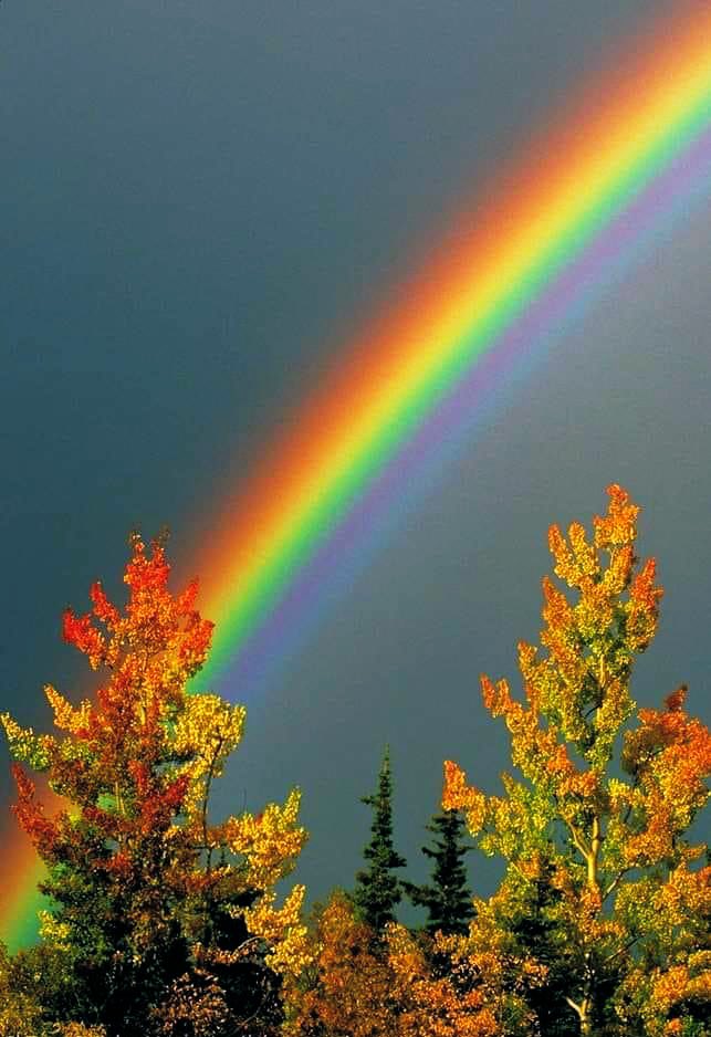 WonderfulW503's tweet photo. Rainbow arco 🌈 #rainbow #colors #love #coloridas #colorful #beautiful #rainbows #beauty #nature #naturephotography https://t.co/qbtOS5Klqa
