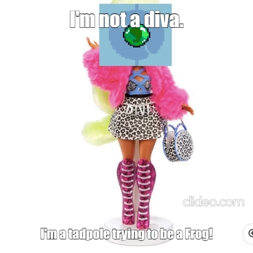 Afonso dos Reis tweet media