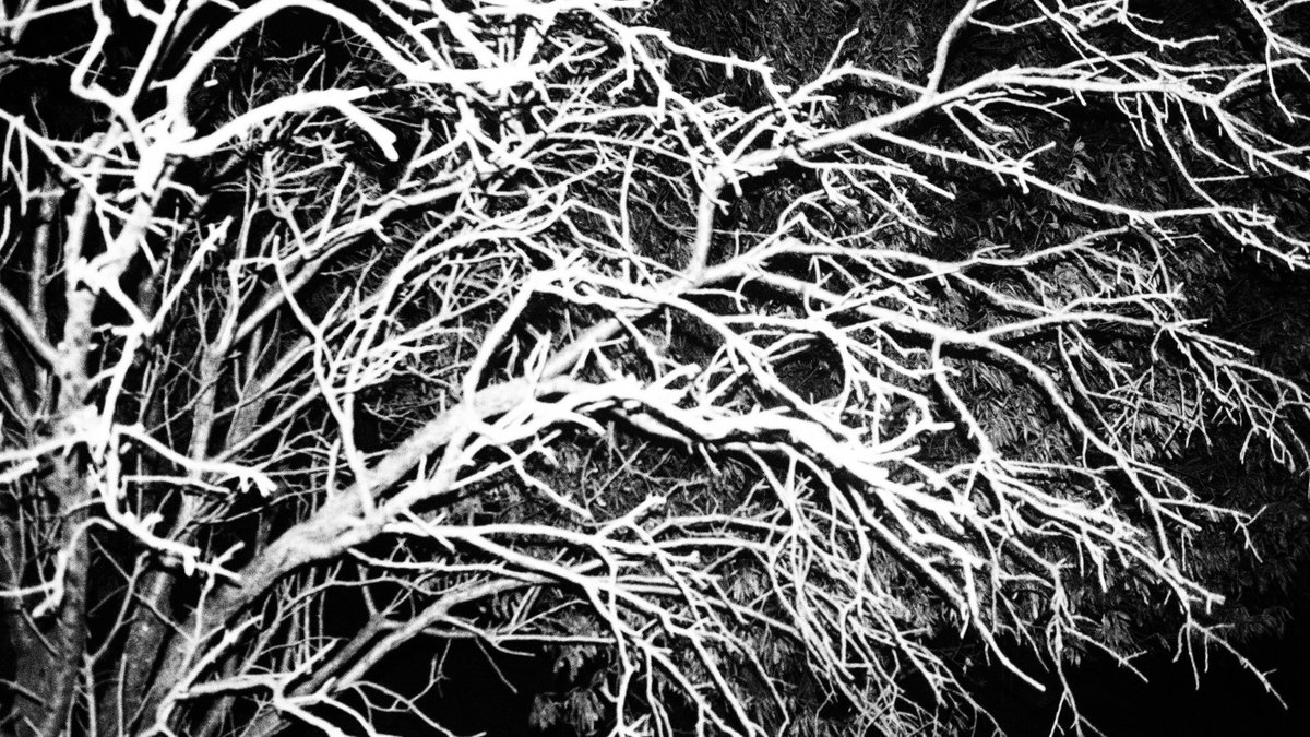 gorkemksr's tweet image. &quot;Ten times a day, every day, I wonder at having wandered so far, and then, alienated from myself, a stranger to myself, I go home&quot;

Bohumil Hrabal, Too Loud a Solitude