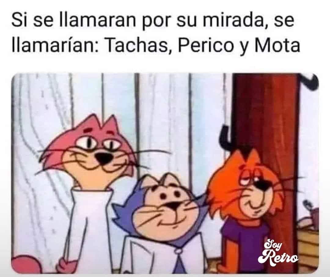 Xaguamo's tweet photo. ¿Si o no raza? https://t.co/KJbZmlP1LL