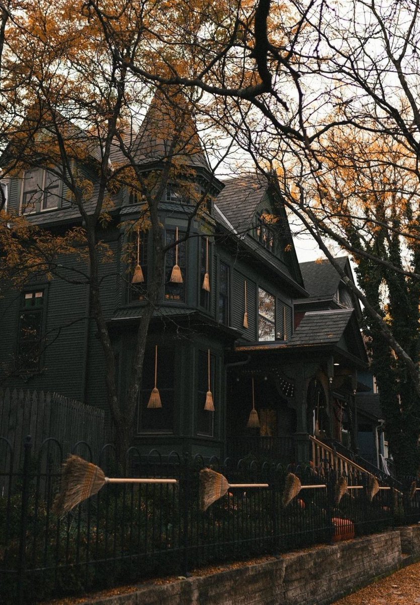 WickedAsEver's tweet image. 