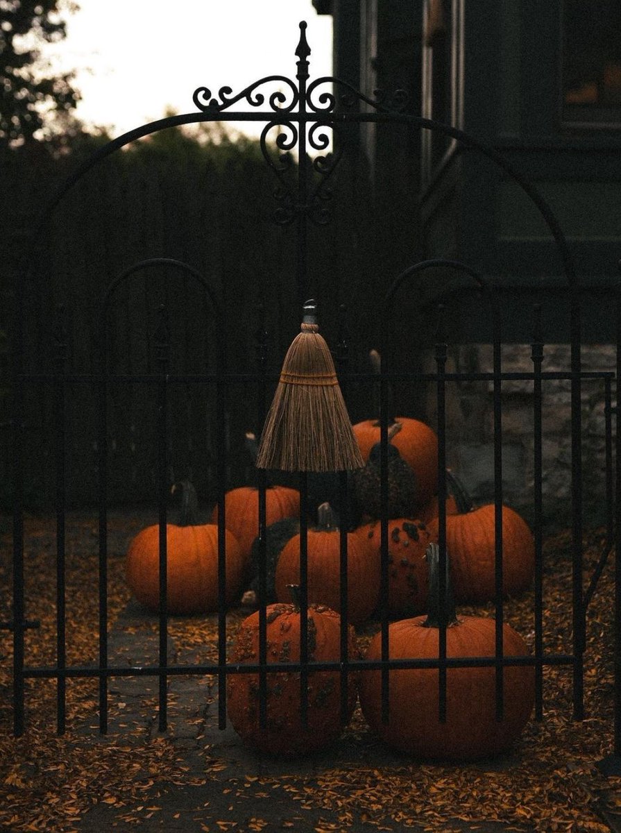 WickedAsEver's tweet image. 