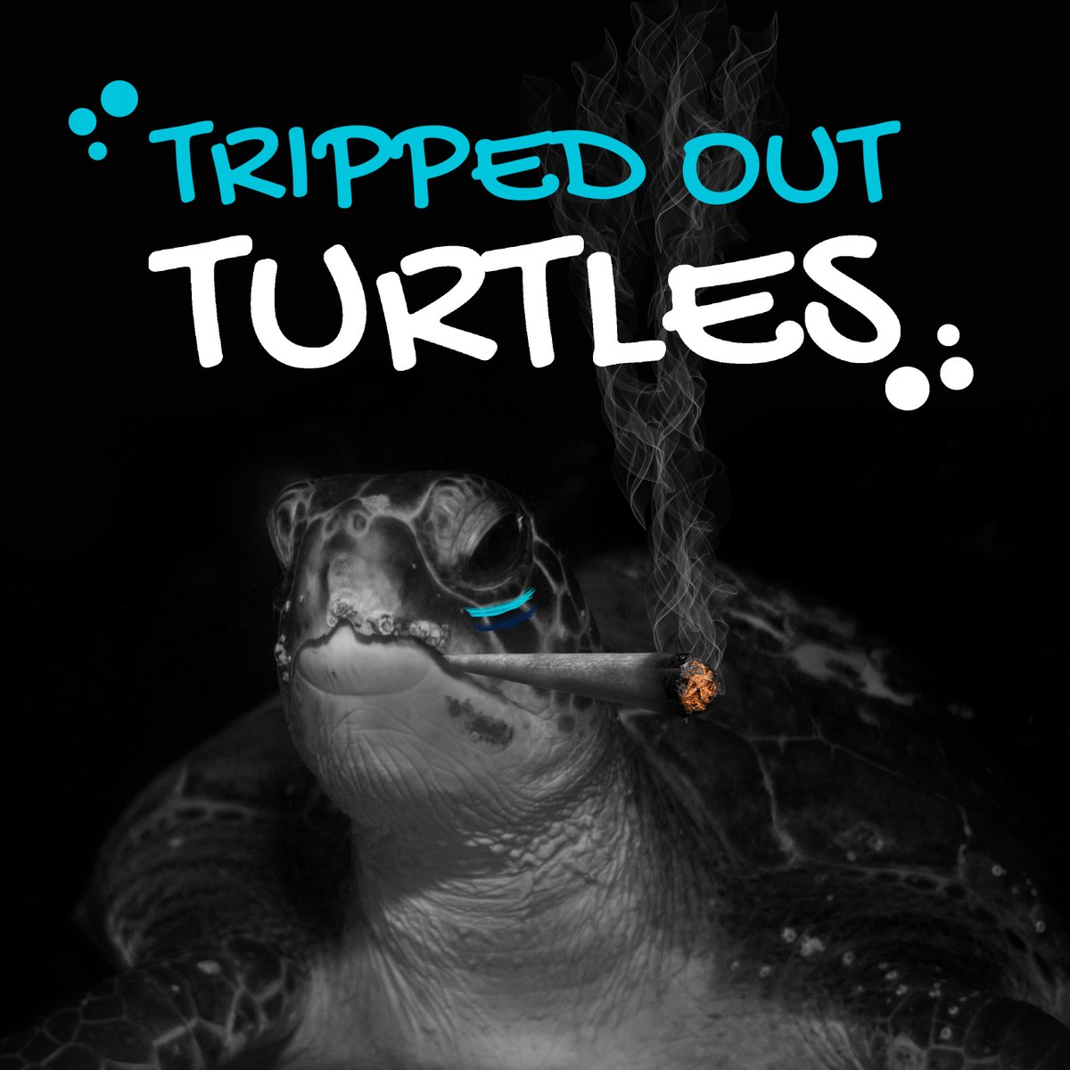 Tripped_Turtles's tweet photo. It's good to have a background story...

The Trippy Elders were the trippiest of them all, forming a community based on being high; These turtles knew how to party 🐢

#Solana #NFT #SolanaNFT #NFTCommunity #NFTProject #TrippedOutTurtles

https://t.co/xBX0rtuQog https://t.co/hx0Jivvf5W