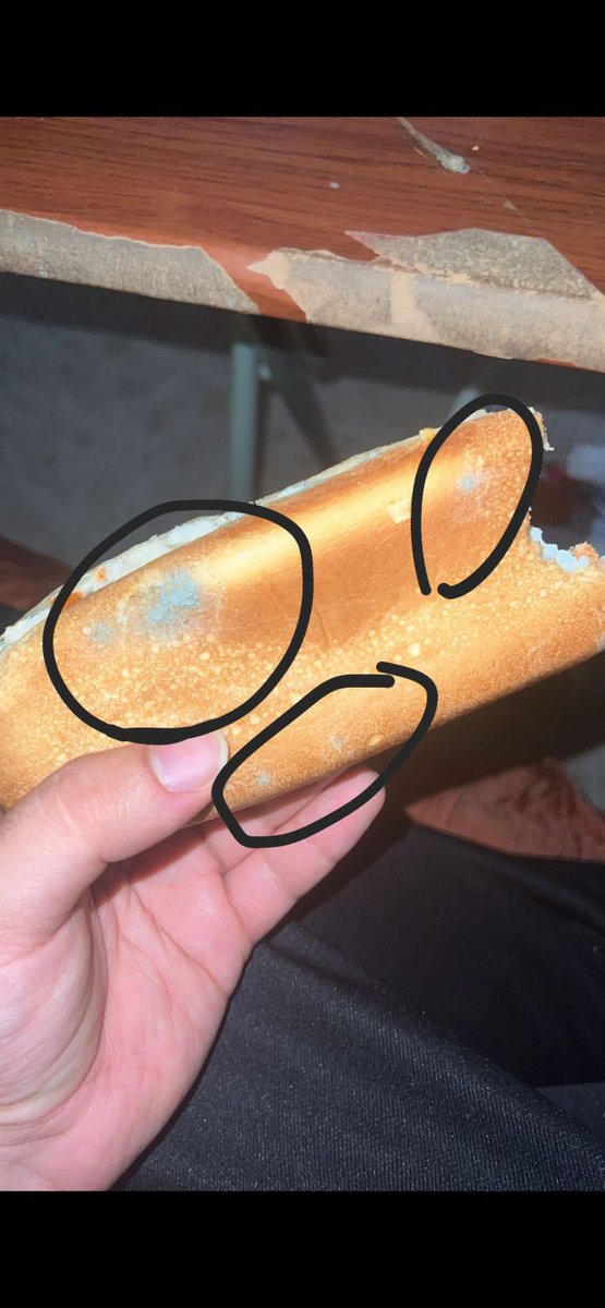 sNaKe 07 tweet media