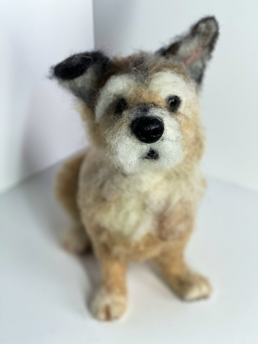 ffinlaysonart's tweet photo. Can share lovely boy Angel Harry’s needle felted portrait - a very missed boy @HarrynPogue https://t.co/OHRVbDxP96