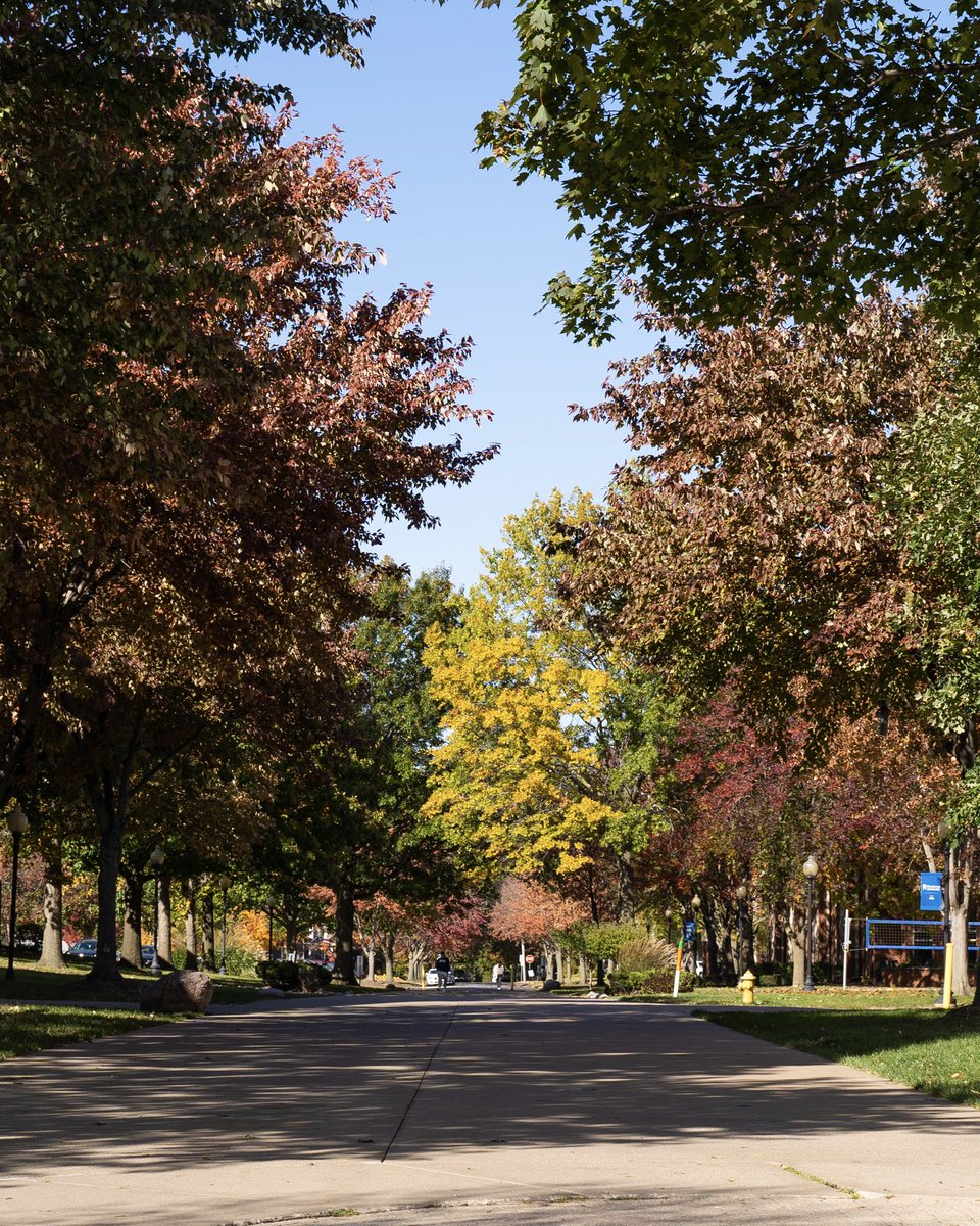 Fall Fridays 💙🍂 

Wishing you a restful weekend, #SAUBees!