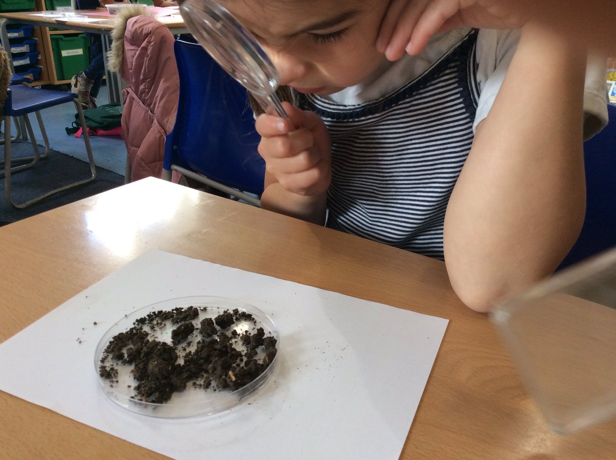 Collect soil sample✔️ find mini beasts 🐌✔️ spot a Fox 🦊✔️ observe soil sample to find out what it is made of 👩‍🔬👨‍🔬✔️