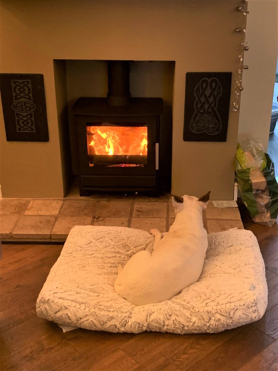 SignatureFires's tweet image. Another week, another stove install , another customer canine appreciation ....... !
Maisy loves the new Heta 45 inspire wood burning stove , she couldn't wait to curl up in front of the fire 
Barnet