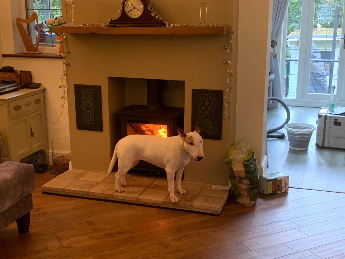 SignatureFires's tweet image. Another week, another stove install , another customer canine appreciation ....... !
Maisy loves the new Heta 45 inspire wood burning stove , she couldn't wait to curl up in front of the fire 
Barnet