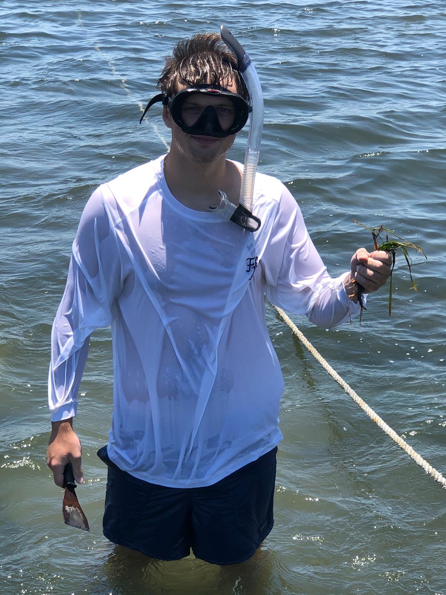 SWS_BGC's tweet image. It's #fieldworkfriday!  This week, we're featuring 
@SeanB_McCollum, a student at @FSUMarineLab.  Sean's research focuses on how nutrient enrichment influences decomposition rates within seagrass meadows, which affects their ability to sequester organic carbon!
