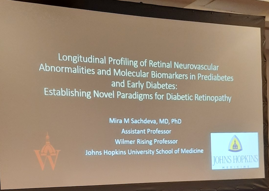 Diabetic #retinopathy is a leading cause of blindness—Dr. Mira Sachdeva at @HopkinsMedicine’s Wilmer Eye Institute focuses on strategies for earlier detection, prediction and treatment #CSDAandPSF