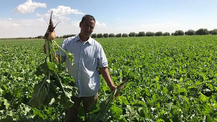 UkulimaSpace's tweet photo. Morocco a country in Sahara desert in the Northern part of Africa is using technology to beat all odds and secure food for its people. https://t.co/Ag4Rn0U93Z