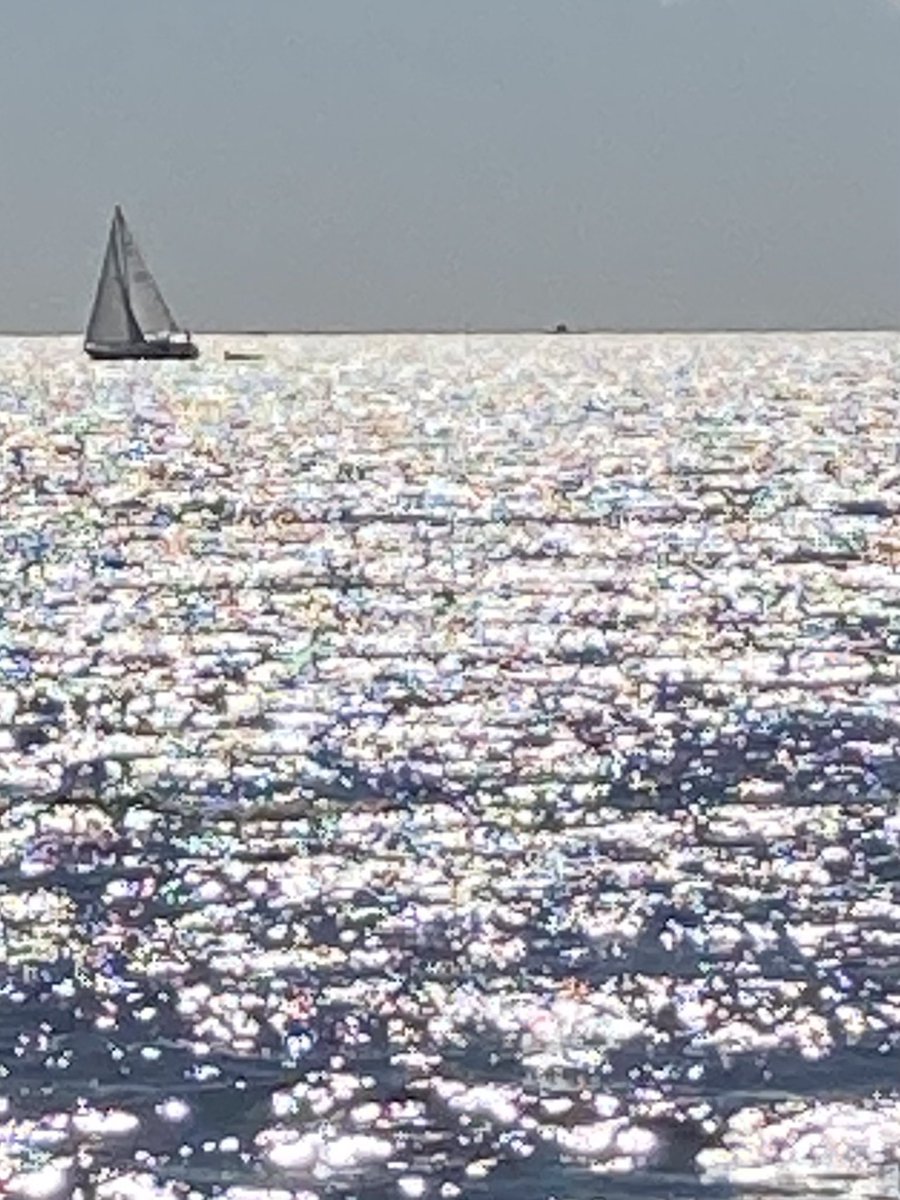 shushy ❄️🌻 tweet media