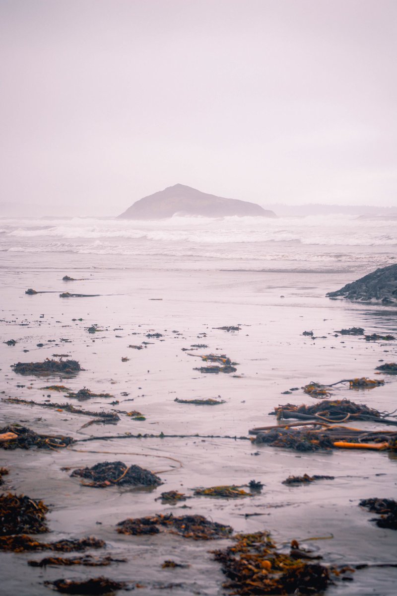 davidguezen's tweet photo. Long Beach, British Columbia https://t.co/drqS7PEMHX