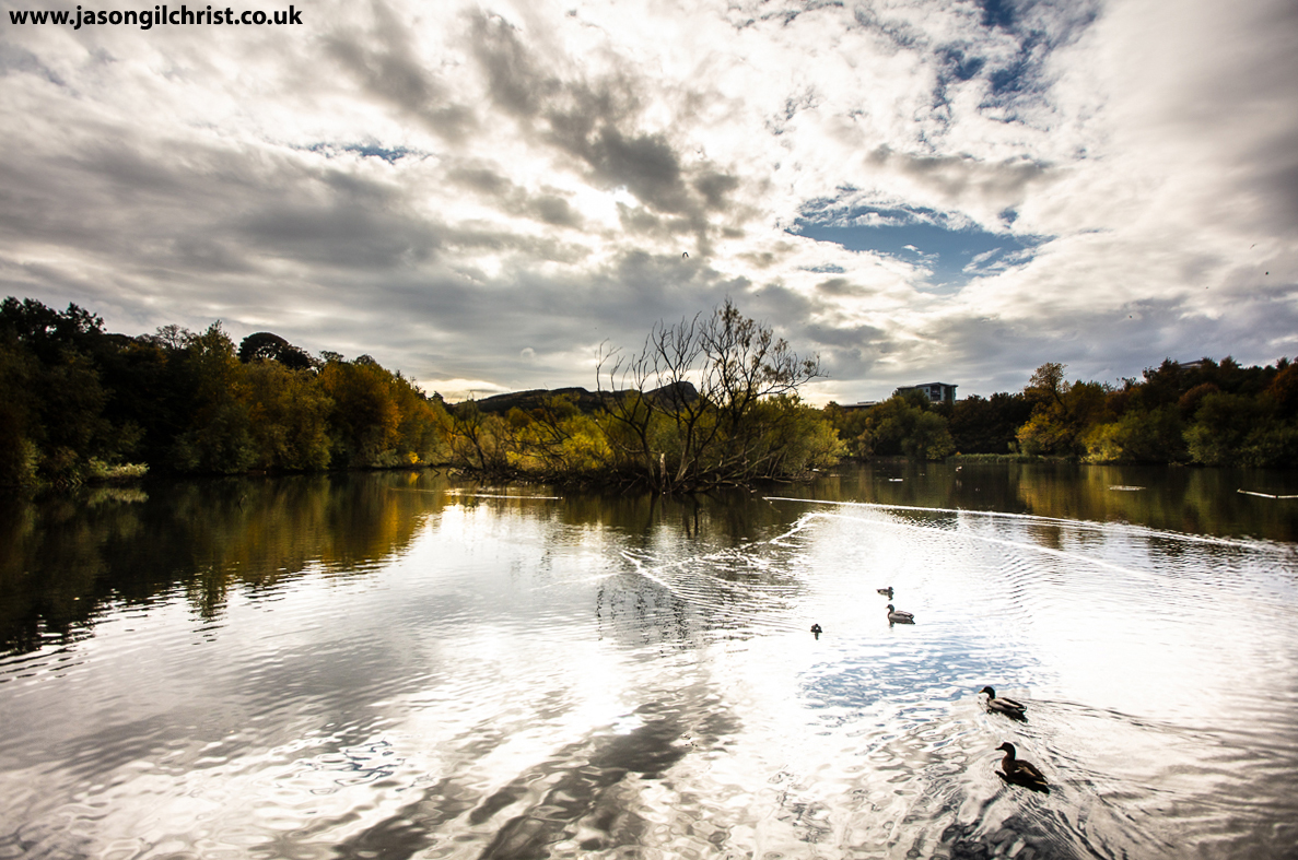 jgilchrist13's tweet photo. Don't know why took me so long to discover Lochend Park. Glad I ultimately did. Flooded forest on loch: otherworldly. 👀 to Arthur's Seat beyond. + some ducks. Edinburgh, Scotland. #LochendPark #Lochend #Restalrig #Leith #Edinburgh #Scotland #landscape #StormHour #ThePhotoHour https://t.co/nWXarDFoSR