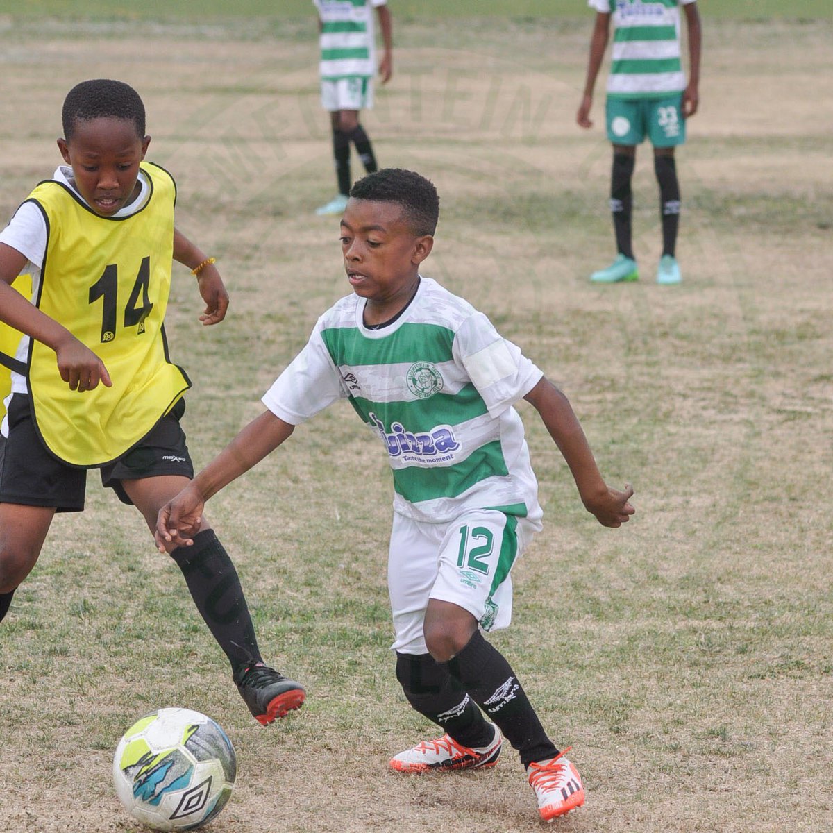 Bloem_Celtic's tweet photo. 🚨ACTION PICS🚨

🔥💚🔥💚🔥 Slowly getting there🙏🙏

#LoveSiwelele
#development
#academyfootball
#mysafa https://t.co/a1IOpnNKCy