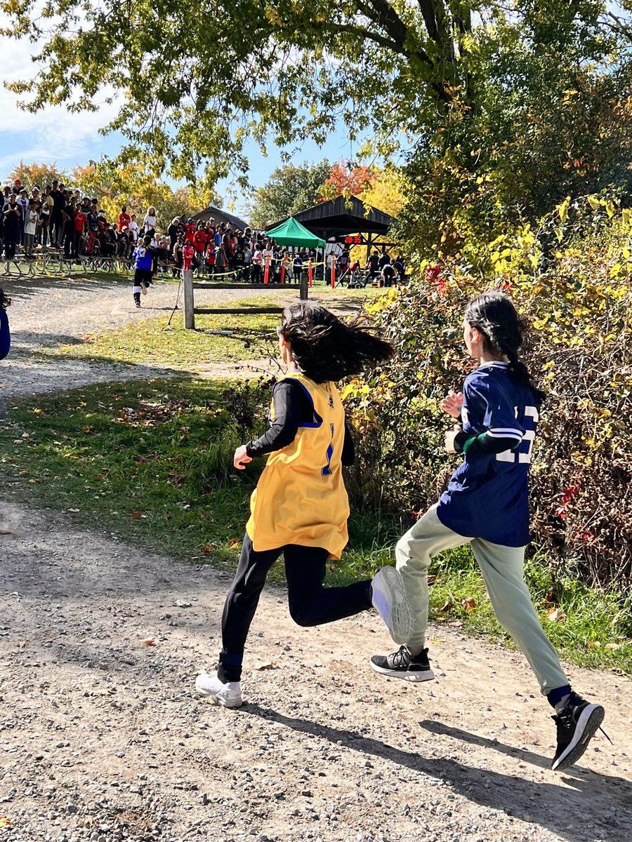 MacOdrum009's tweet photo. @EldoradoPDSB Beauty day for a cross country meet! Sooo proud of you Eagles!! https://t.co/SYqKzypqGW
