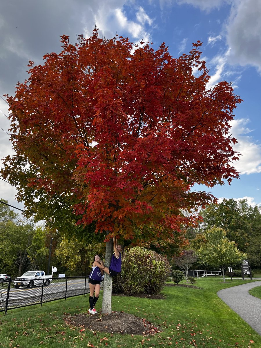 finished our season 11-3. So proud of these girls and their growth over the last 3 months 💜