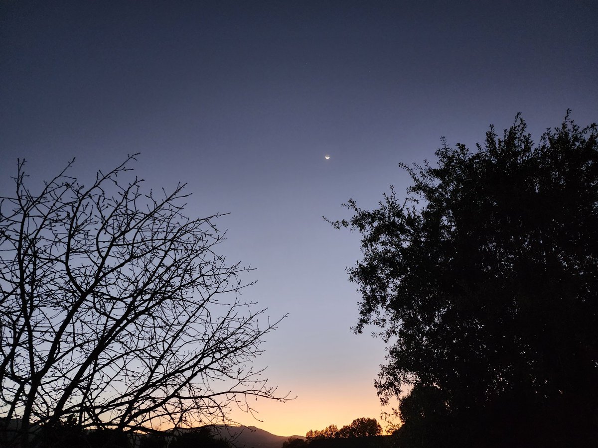 Tracy Scott Kelly tweet media