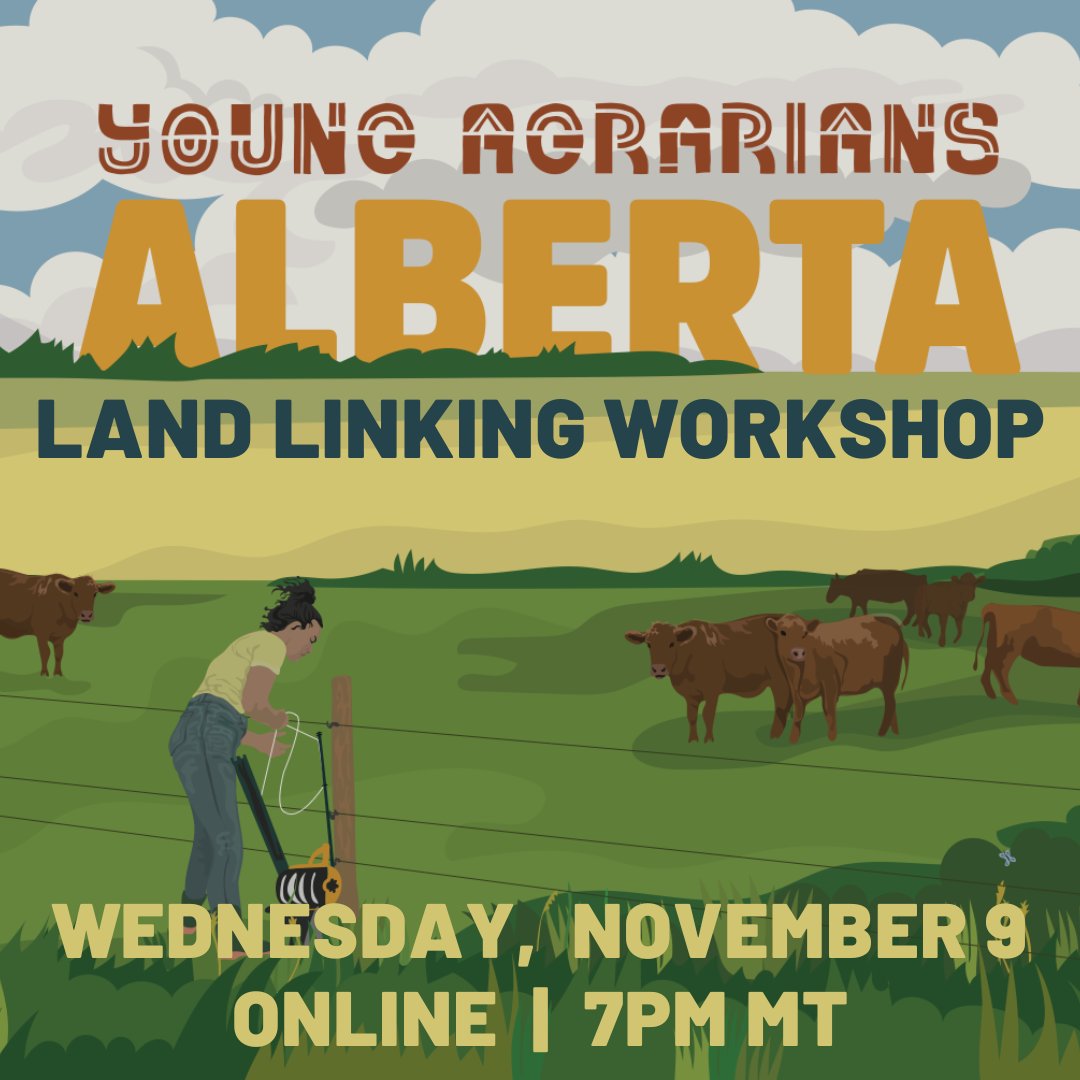Are you a landholder looking for farmers? Or a new farmer looking for land? Join the Alberta Land Linking Workshop on Wednesday, November 9! We will bring together landowners and new farmers in Alberta to explore the land-linking process. youngagrarians.org/alberta-land-l…