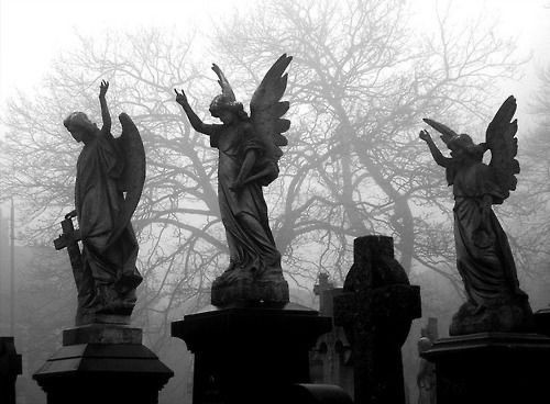 Asmodeussss__'s tweet photo. https://t.co/mB79MOrFW6
