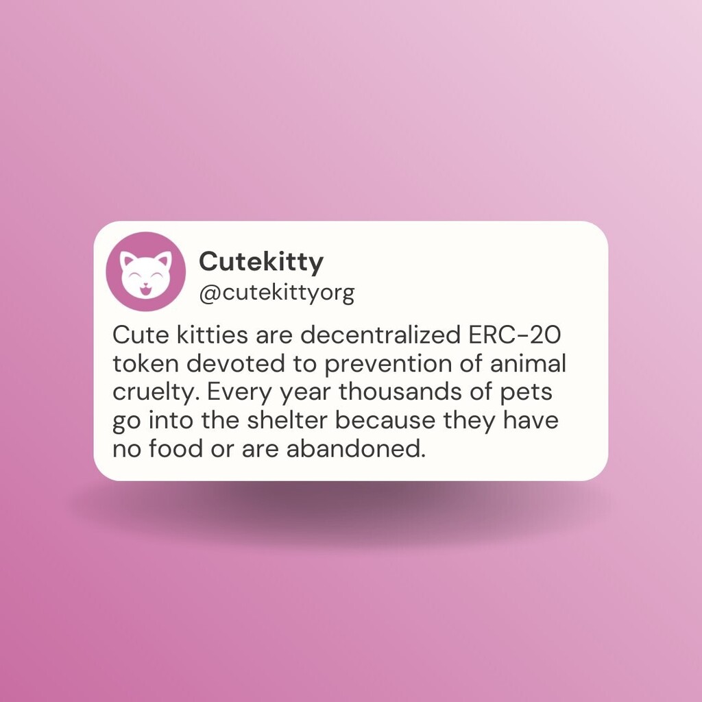 cutekittyorg's tweet photo. Save animals, serve humanity
.
.
.
.
.
.
#helpcat #catsonly #catsforever #catsforlife #catloversworld #catsarethebest #catsworld #catloversworld #cryptocurrencytrade #cryptocurrencyinvesting https://t.co/AMJ6v1r5Nt https://t.co/eik34KPyQe
