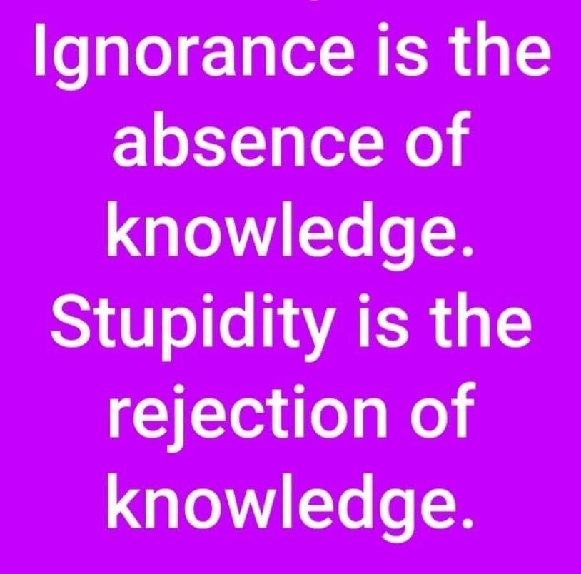 jilevin's tweet image. The difference between ignorance and stupidity (in case you were wondering…).