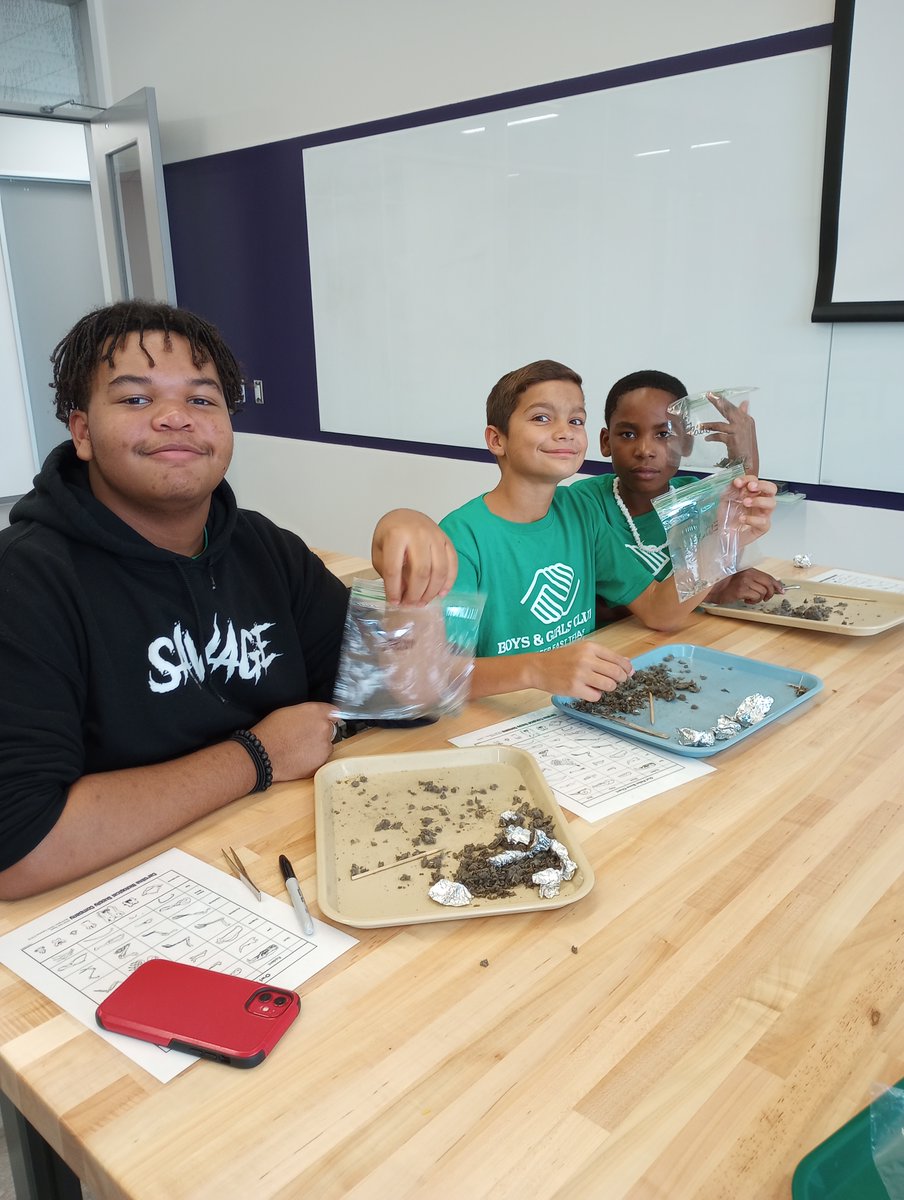SFASTEMcenter's tweet photo. Students from Polk and Hardin Boys &amp; Girls Clubs had the opportunity to dissect owl pellets and identify the bones to determine the owl's diet.

#SFASU #STEM #Biology #OwlPellets #Investigation #BoysandGirlsClub #ColeSTEMBuilding https://t.co/E48tz4S0e7