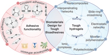 Paul Weiss (@pswnano) on Twitter photo Our new #Review on #bioadhesives: rsc.li/3TFJx3o <a href="/ChemSocRev/">Chem Soc Rev</a> from <a href="/h_montazerian/">Hossein Montazerian</a> <a href="/DavoodiElham/">Elham (Emma) Davoodi</a> <a href="/MaryamBadv/">Maryam Badv</a> <a href="/nasimannabi/">Nasim Annabi</a> <a href="/PSWnano/">Paul Weiss</a> <a href="/UCLAengineering/">UCLA Samueli Engineering</a> <a href="/cnsiatucla/">CNSI at UCLA</a> & Ali <a href="/khademh/">Ali Khademhosseini</a> osseini <a href="/TerasakiInst/">Terasaki Institute for Biomedical Innovation</a> #bioengineering #nano #woundhealing Our new #Review on #bioadhesives: rsc.li/3TFJx3o <a href="/ChemSocRev/">Chem Soc Rev</a> from <a href="/h_montazerian/">Hossein Montazerian</a> <a href="/DavoodiElham/">Elham (Emma) Davoodi</a> <a href="/MaryamBadv/">Maryam Badv</a> <a href="/nasimannabi/">Nasim Annabi</a> <a href="/PSWnano/">Paul Weiss</a> <a href="/UCLAengineering/">UCLA Samueli Engineering</a> <a href="/cnsiatucla/">CNSI at UCLA</a> & Ali <a href="/khademh/">Ali Khademhosseini</a> osseini <a href="/TerasakiInst/">Terasaki Institute for Biomedical Innovation</a> #bioengineering #nano #woundhealing