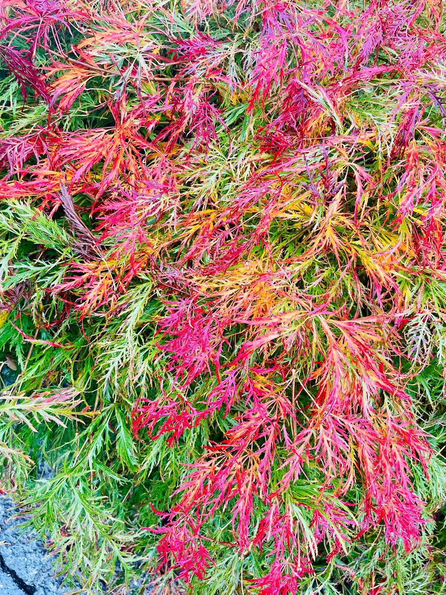 ObstriN's tweet image. #nft #NFTCommunity #NFTs 
#NFTGiveaway #NFTartist #nftart #NFTdrops  #NFTdrop #nftswiss #opensea #nftfamily #nftsale #nftcollector #nftworld #nftnext #NFTProject