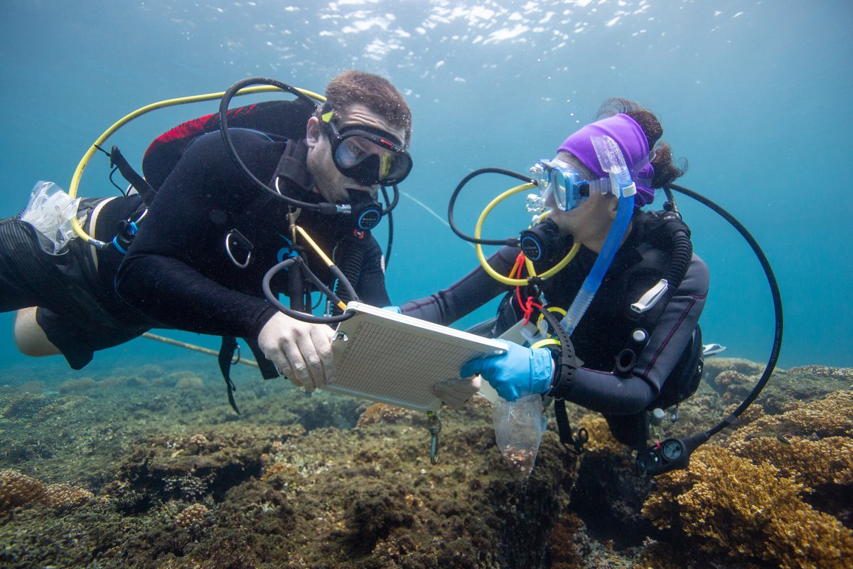 FSUMarineLab tweet picture