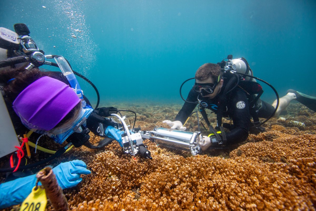 FSUMarineLab tweet picture