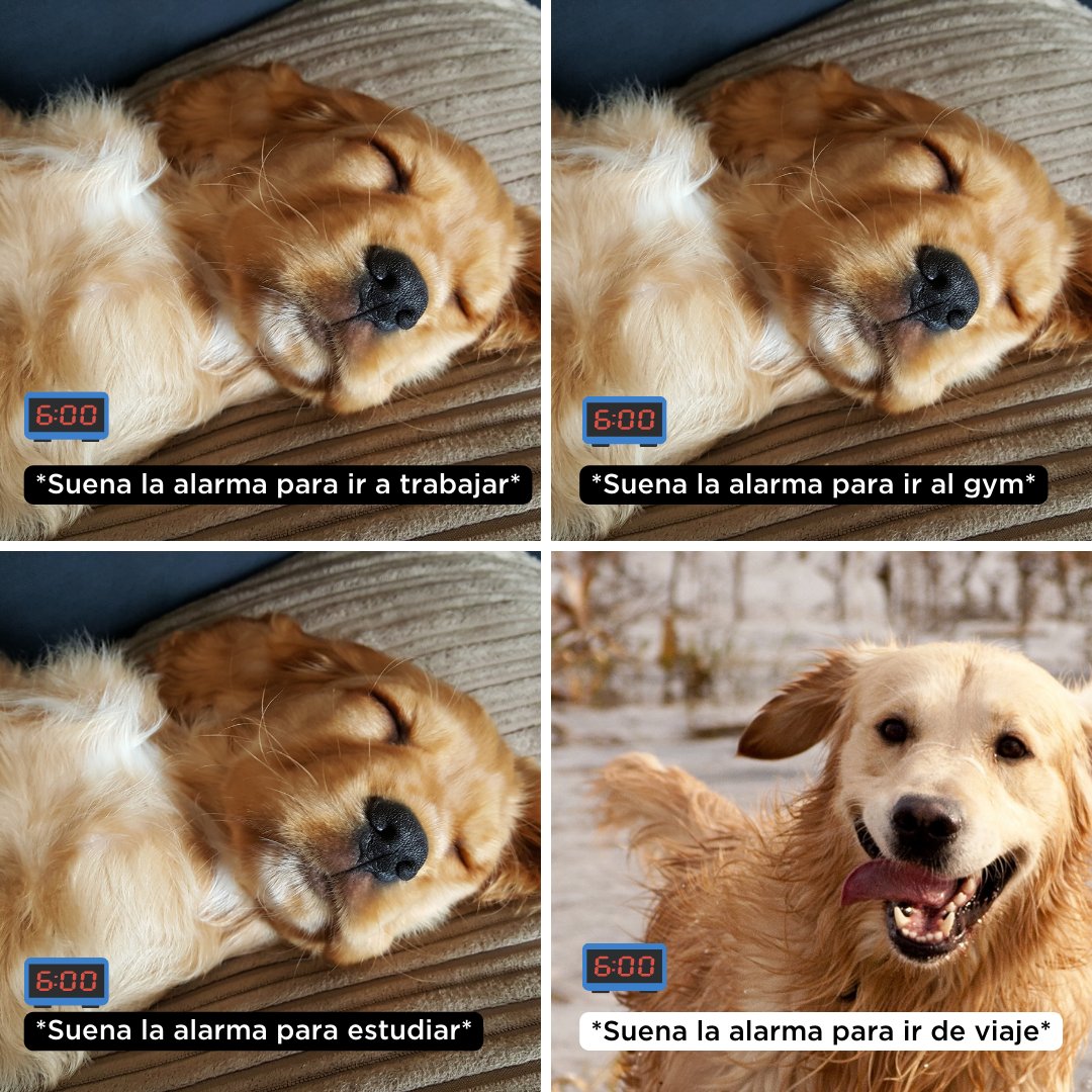 quickgoldQG's tweet photo. A eso yo lo llamo #prioridades https://t.co/D8IVq5JFCE