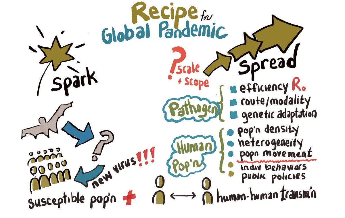 HarvardGHELI's tweet photo. Pssst! Did you see? Our October newsletter is here, including a peek into an animation exploring a recipe for global pandemic: https://t.co/UcdwyRUkhi https://t.co/CbdktzwVkK