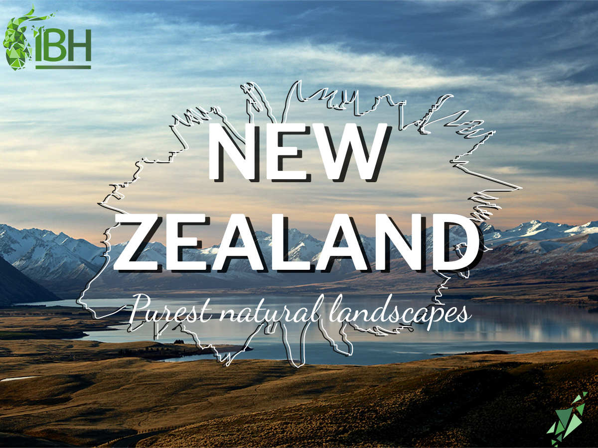 iberhunting's tweet photo. Don't forget to book your hunting trip to Oceania with IberHunting!
Ask for our dates:
New Zealand ➡️ https://t.co/iydN6byGx4 

Australia ➡️ https://t.co/XF3OHgH7Ym
.
#iberhunting #hunting #hunt #australiahunting #newzealandhunting #biggamehunting #huntingoutfitter #outfitter https://t.co/1UBGg9bYjf