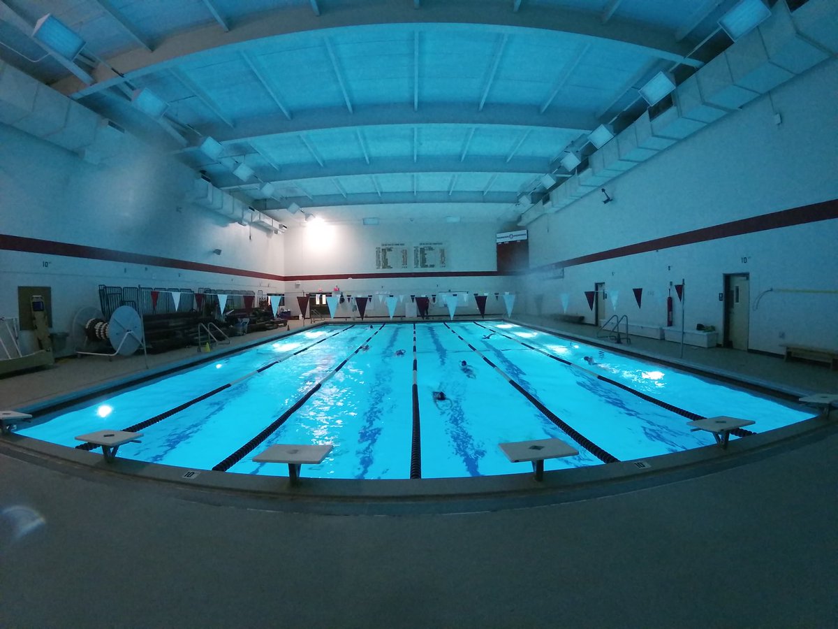 Elgin Swimming tweet media