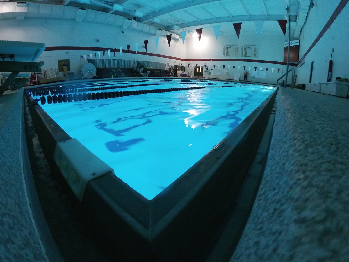 Elgin Swimming tweet media