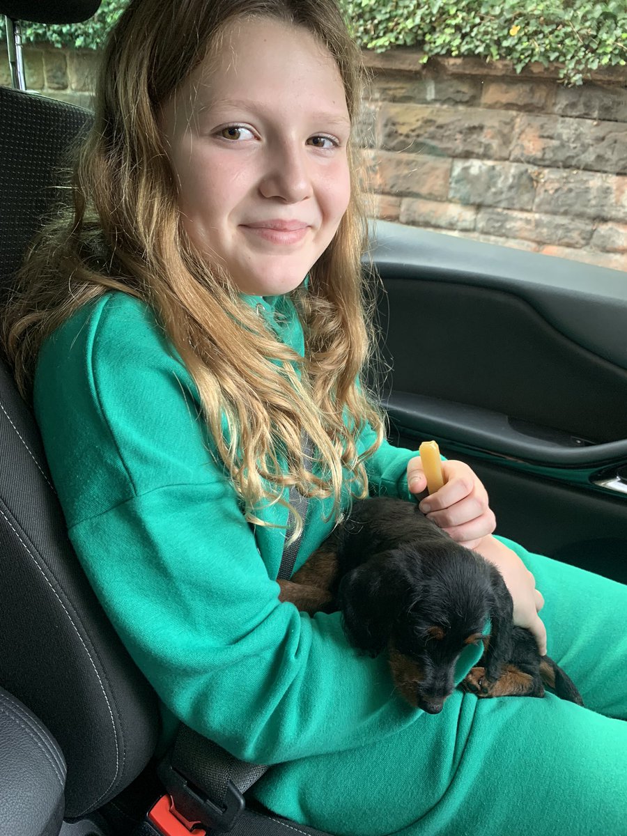 NicoleMoscrop's tweet photo. @DPHyperion Indie wanted to let Miss Jones know her teeth are all in tact 😆 the big secret was this little beauty…. Meet Ruby 🐶🥰 https://t.co/mO063LEbCT