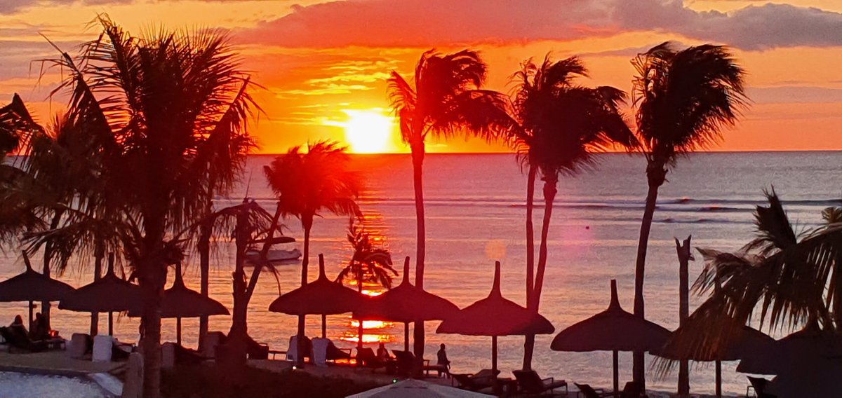 Nicola Tissi tweet media