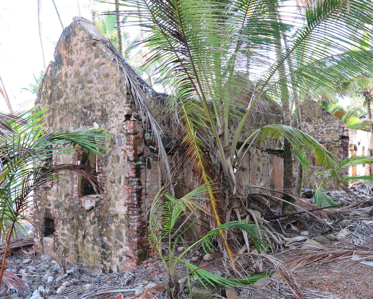 daz_tait's tweet photo. After walking a few hundred metres I came to a row of brick houses. Only the brick outer shell of the prisoners’ quarters was left intact, the structures gradually succumbing to the elements and the encroaching vegetation. 'The World's my Oyster' trilogy, available from Amazon https://t.co/29zxLCDfsq