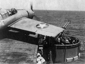 Richard A.M. Špaček 🐬 tweet media