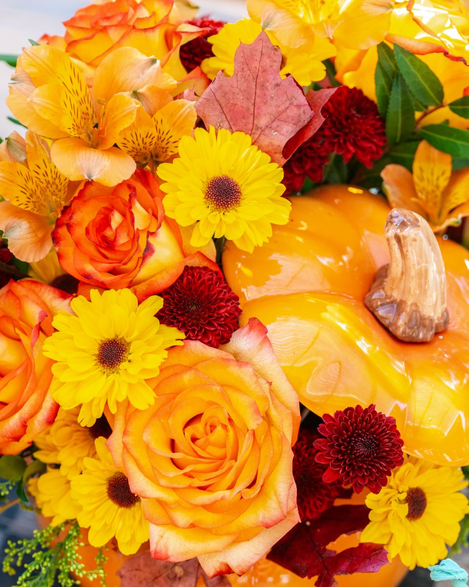 Gourd big, or go home with Warm Fall Wishes bursting from this keepsake pumpkin bowl.
bit.ly/TelefloraWarmF…