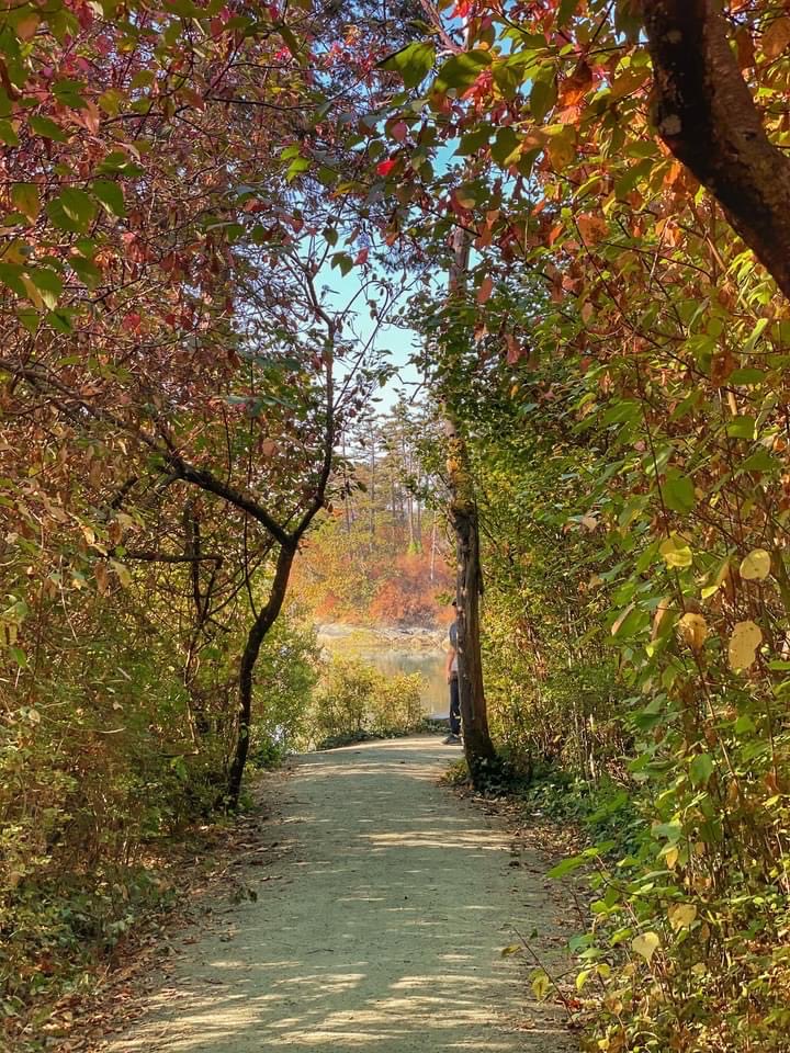 Fall wanderings #walking #fall #nature